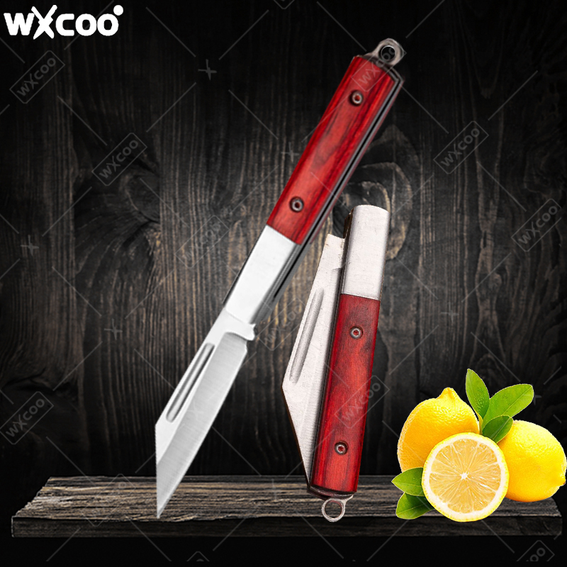 Kitchen Gadgets Products - Coltello tascabile in acciaio inossidabile Manico