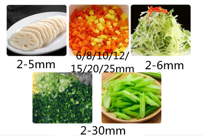 Macchina Automatica per Taglia - Vegetable Chopper recensione e prezzo