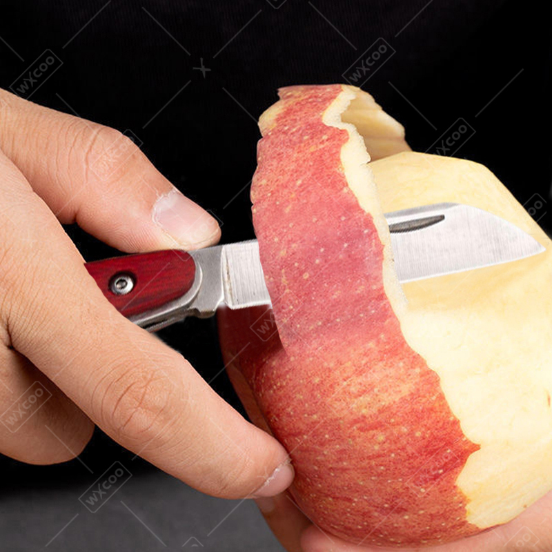 Coltello tascabile in acciaio  - Kitchen Gadgets Products recensione e prezzo