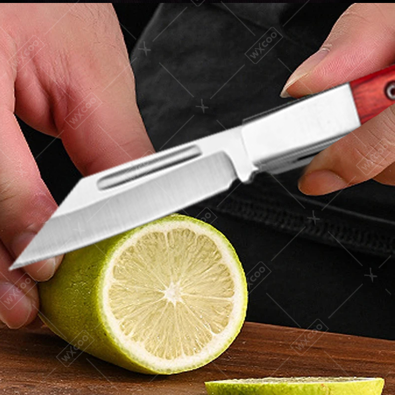 Coltello tascabile in acciaio  - Kitchen Gadgets Products recensione e prezzo